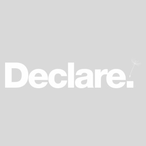 declare-logo