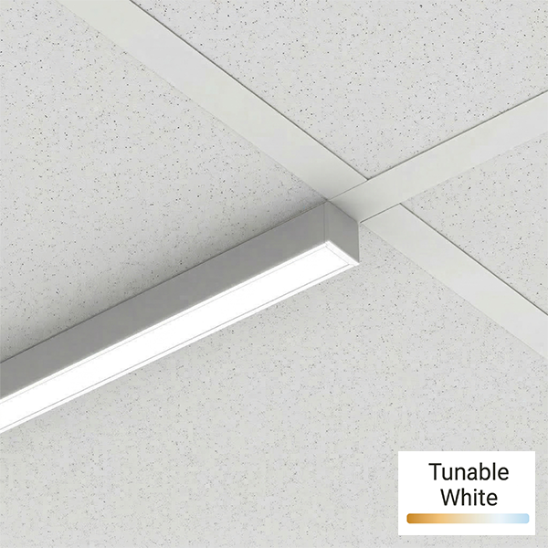 GRIDBar1 Tunable White